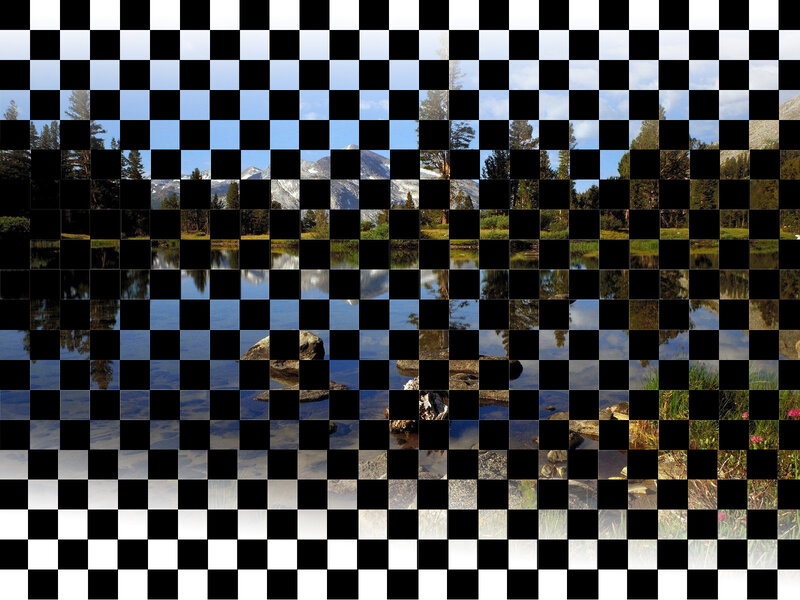 checkerboard landscape mosaic