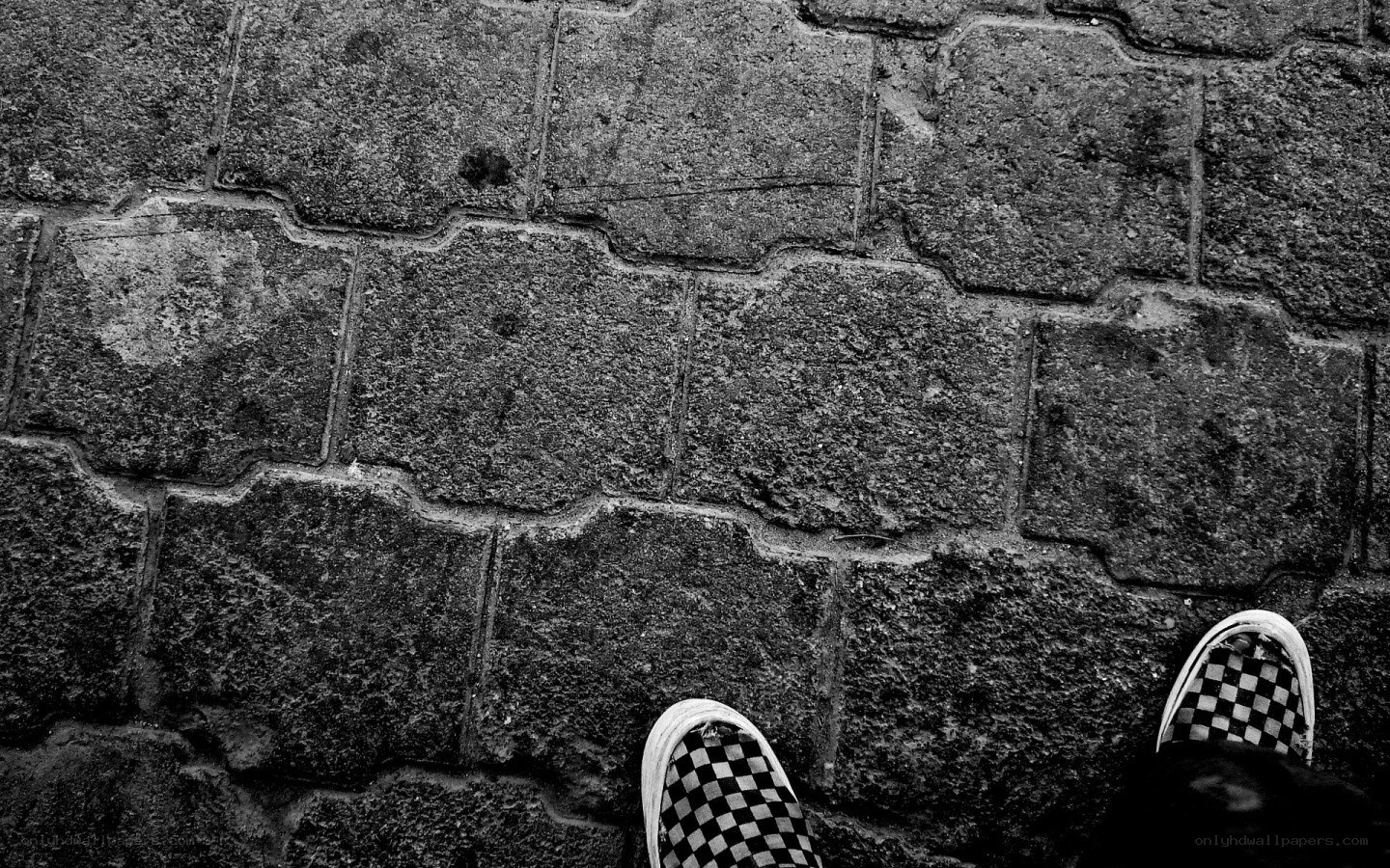 checkered shoes on pavement