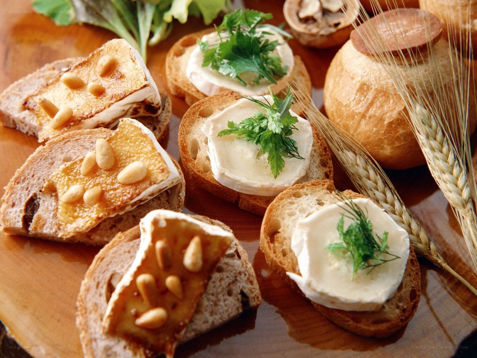 Cheese and bread appetizers