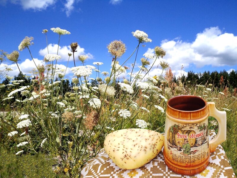 Cheese and Mug in Field