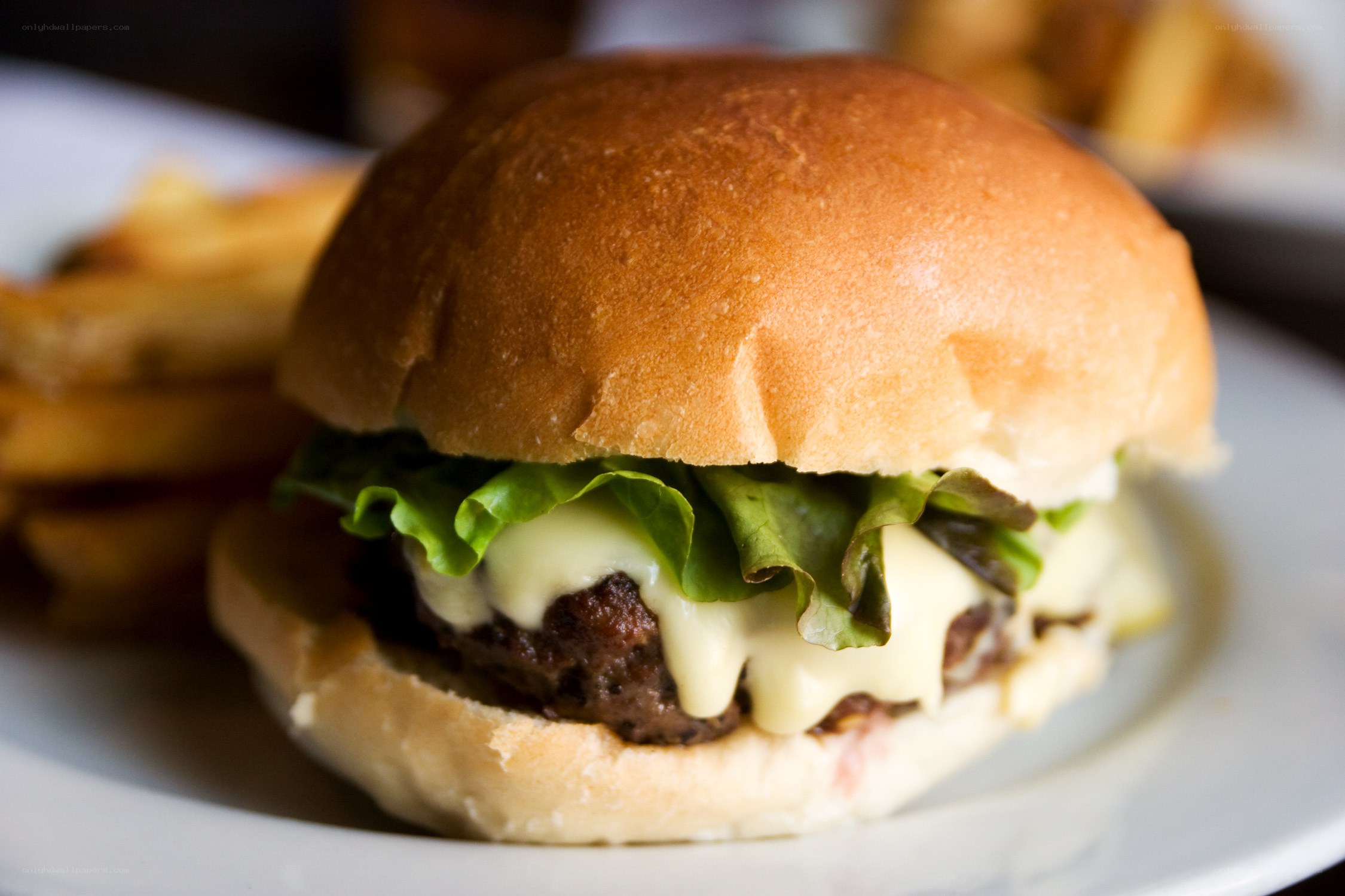 cheeseburger with fries