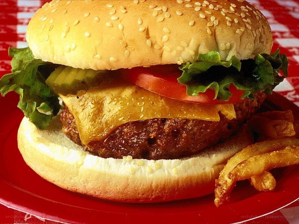 cheeseburger with fries