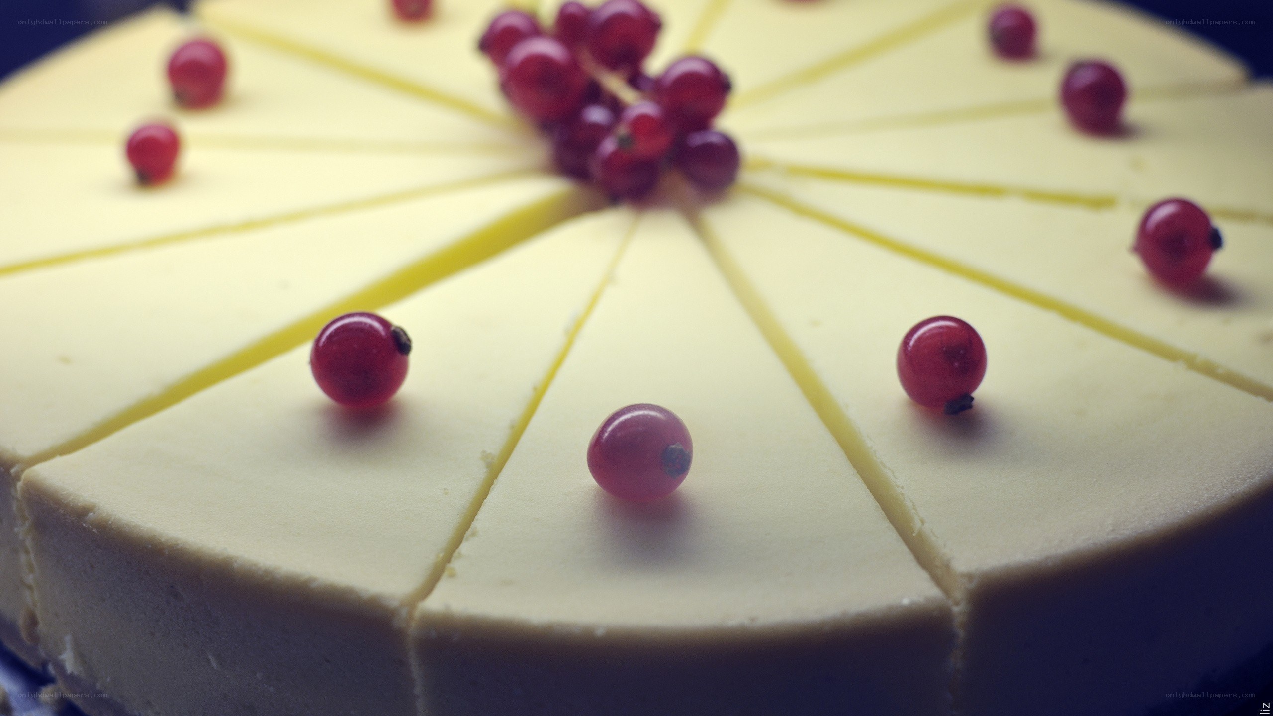 cheesecake with red currants