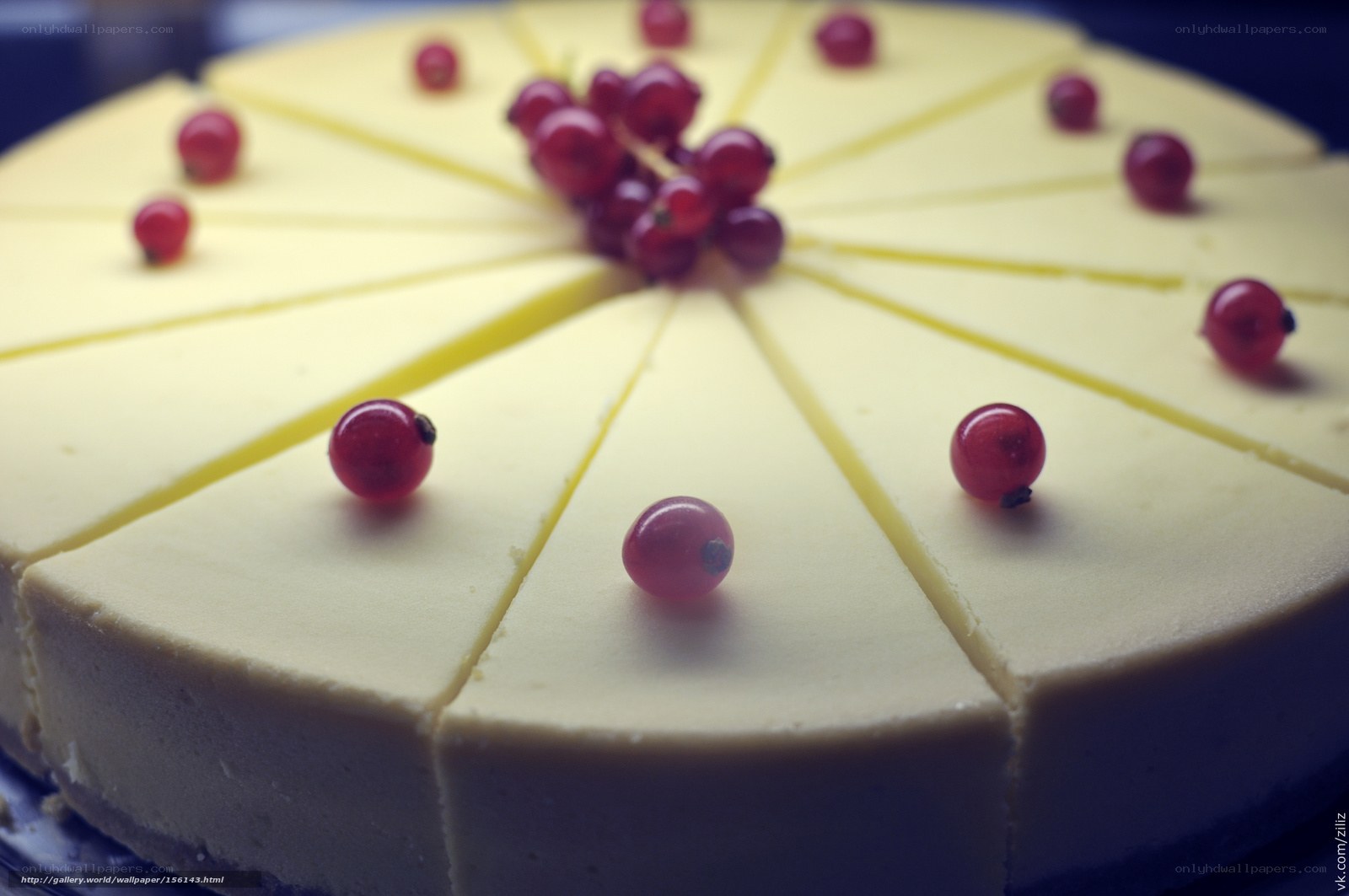 cheesecake with red currants