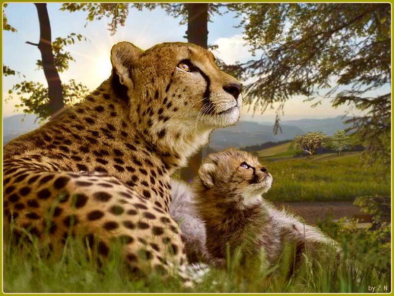Cheetah and Cub — Green, Serene