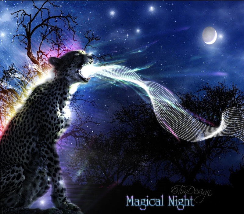 Cheetah Breathing Light