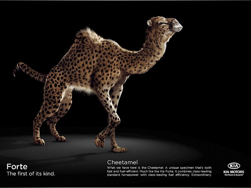 Cheetah-camel Hybrid — Black