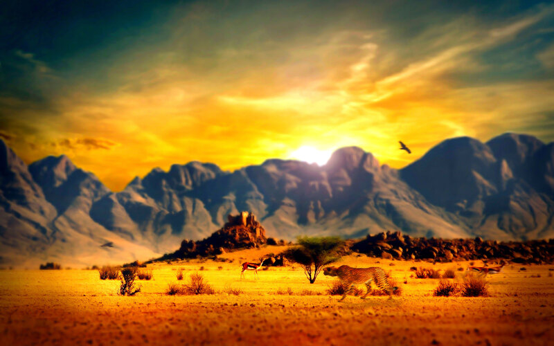 Cheetah Chasing Antelope — Yellow