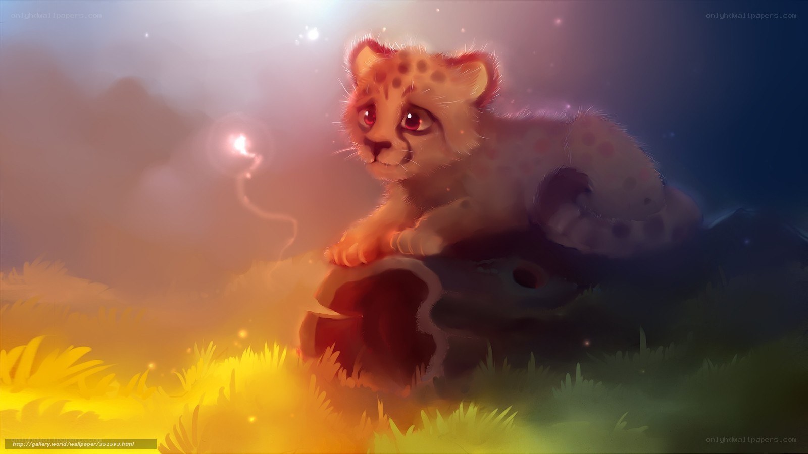 Cheetah cub in golden light