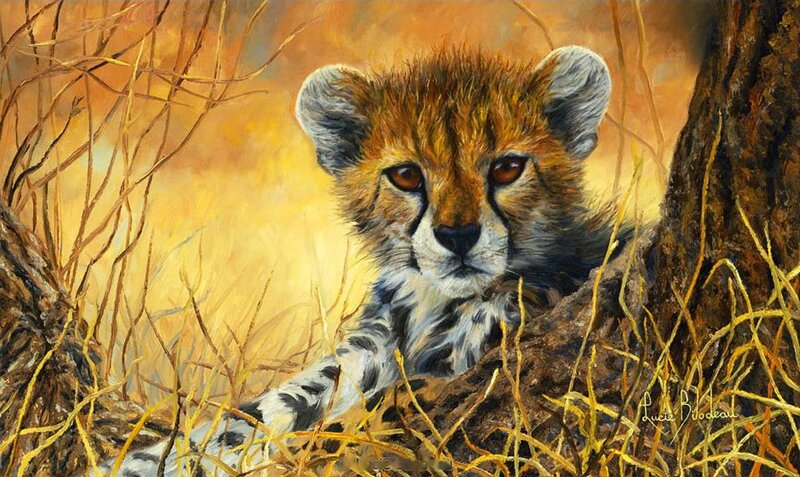 Cheetah Cub in Grass — Yellow
