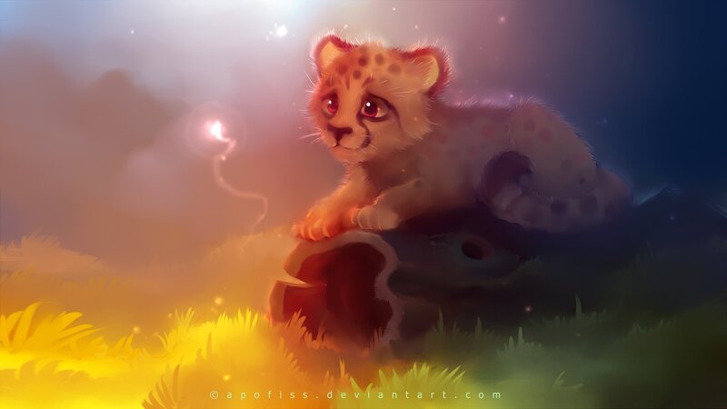 Cheetah Cub on Rock — Yellow, Dramatic