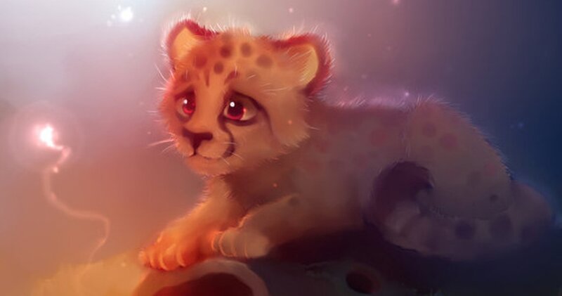 Cheetah Cub — Orange