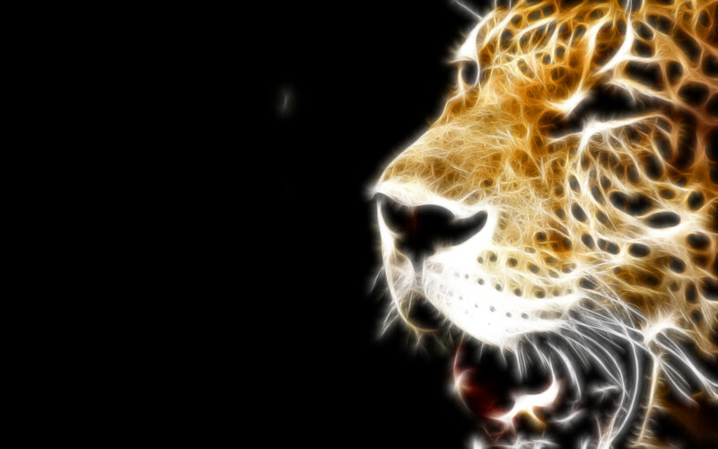 Cheetah Head Profile — Black