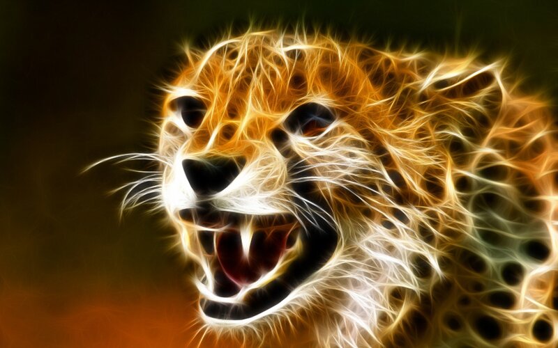Cheetah Head