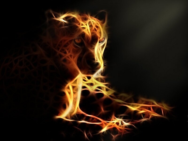 Cheetah in Flames