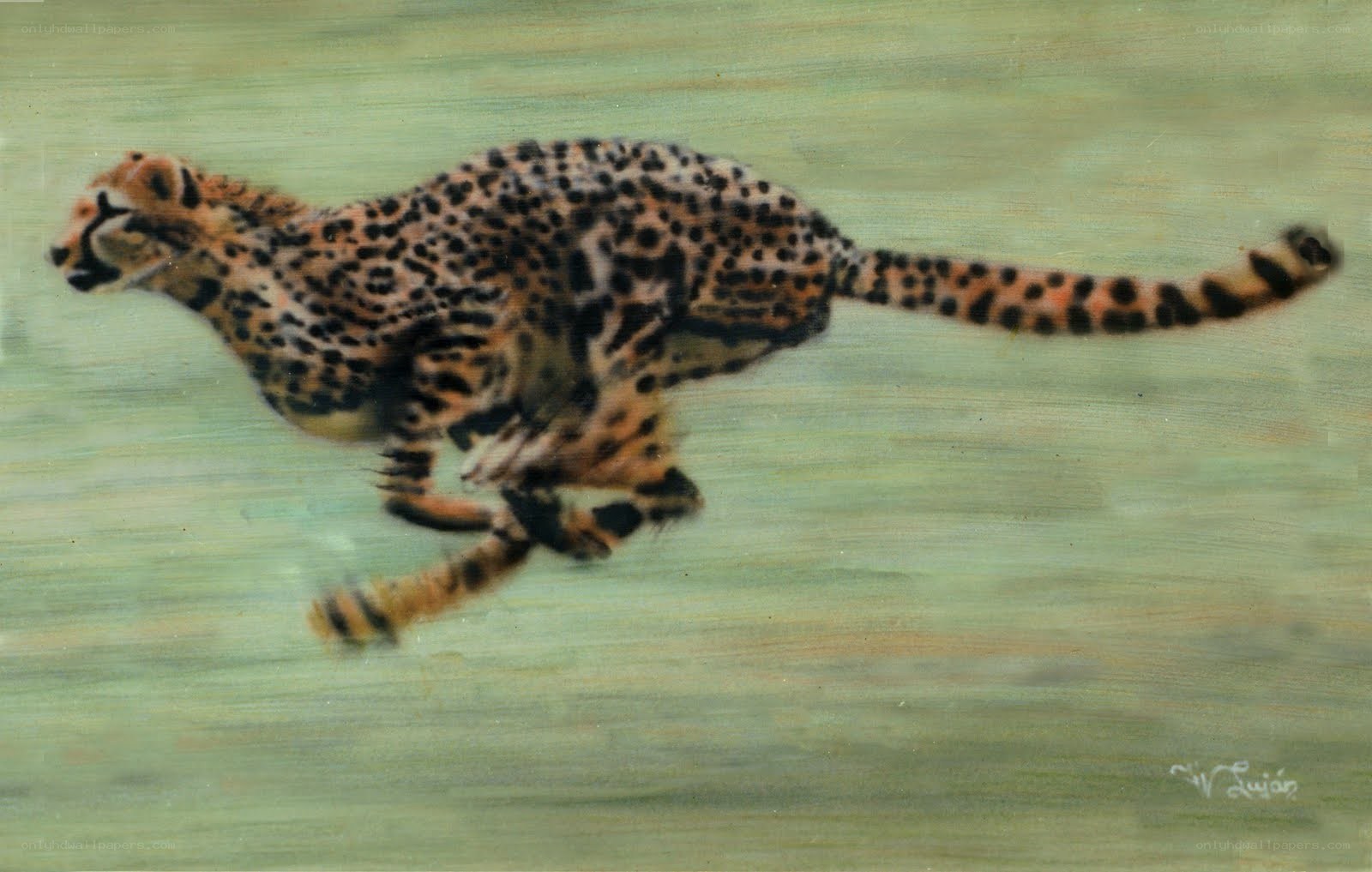 Cheetah in motion painting