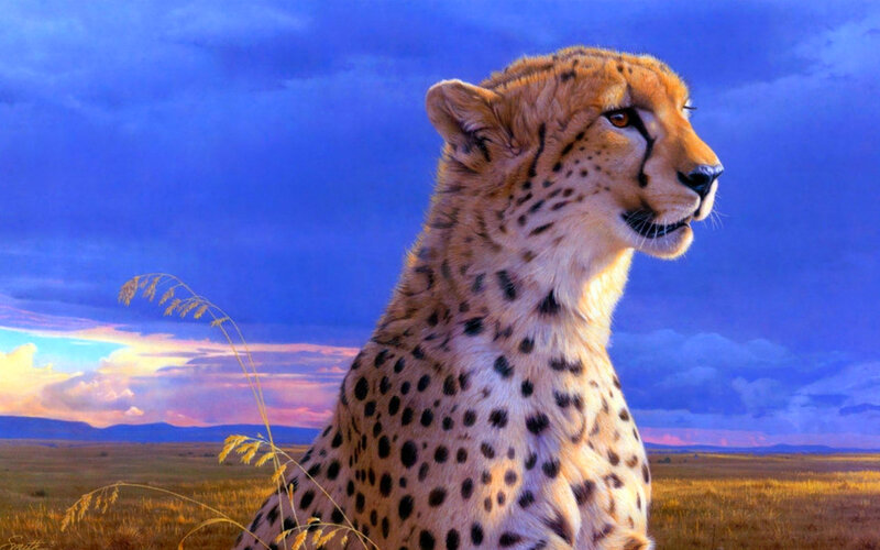 Cheetah in Savanna — Blue, Dramatic, Sunset