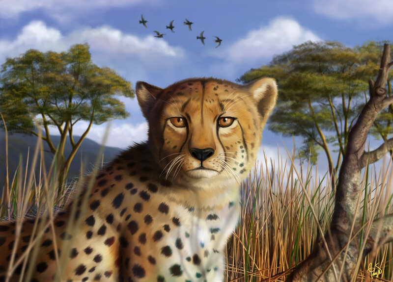 Cheetah in Tall Grass — Brown, Calm, Afternoon