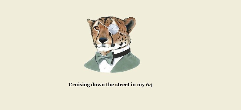 cheetah in tuxedo