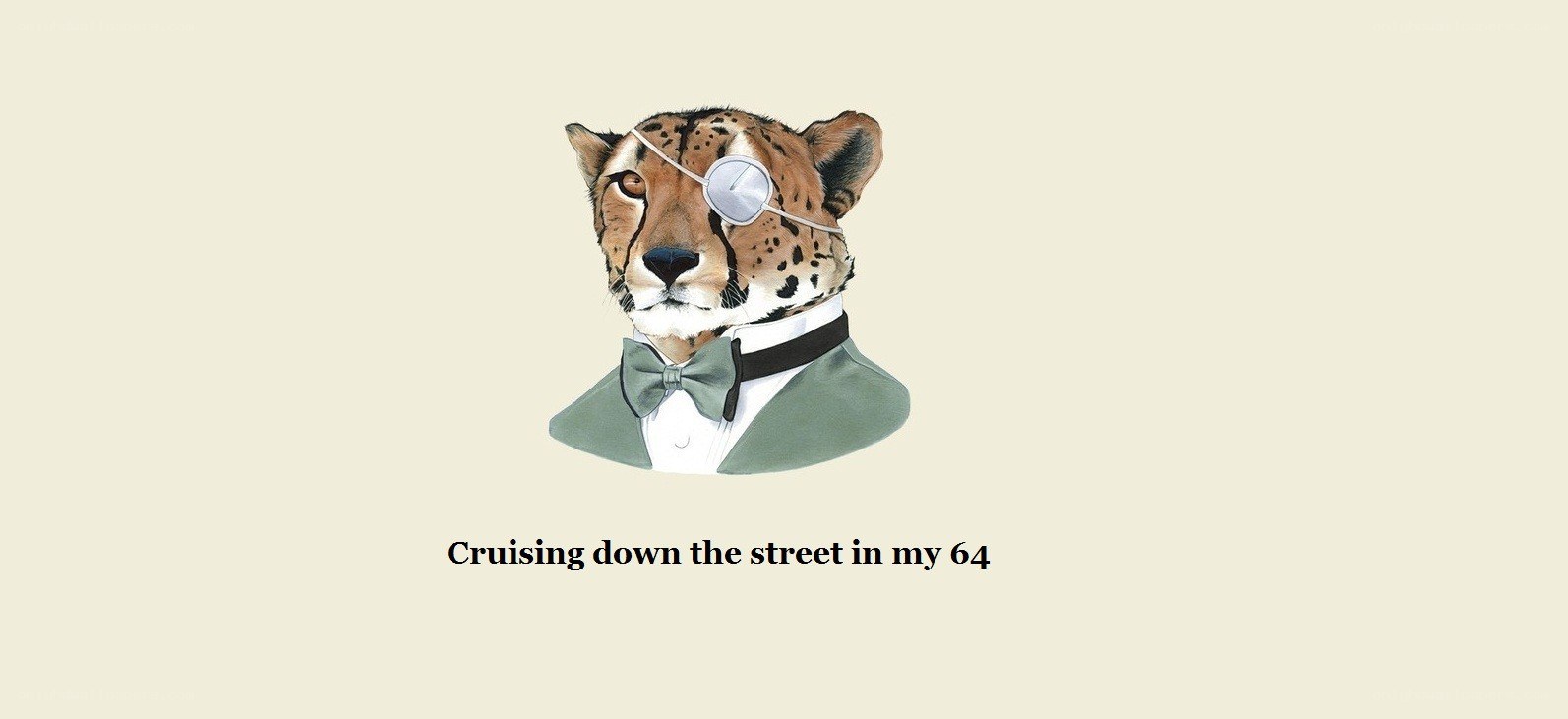 cheetah in tuxedo