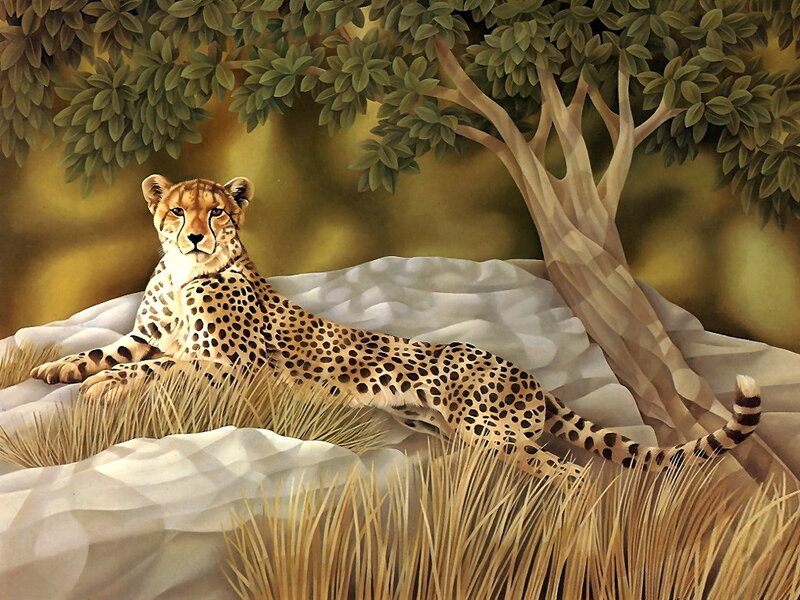 Cheetah Lying in Grass — Brown, Calm, Afternoon