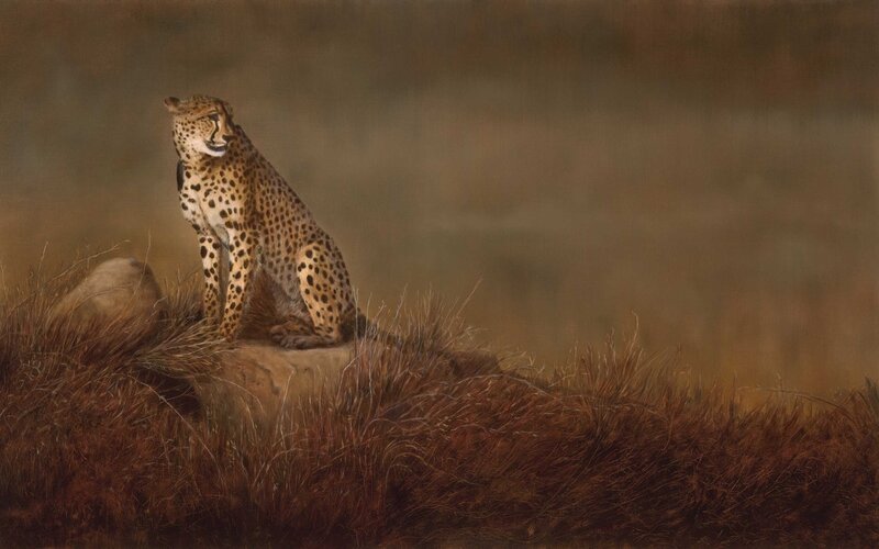 Cheetah on a Rock — Brown, Alert, Sunset