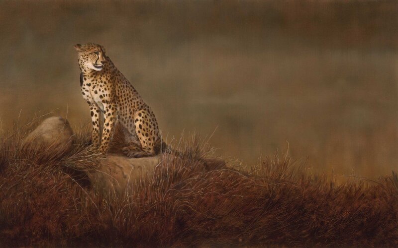 Cheetah on a Rock — Brown, Calm