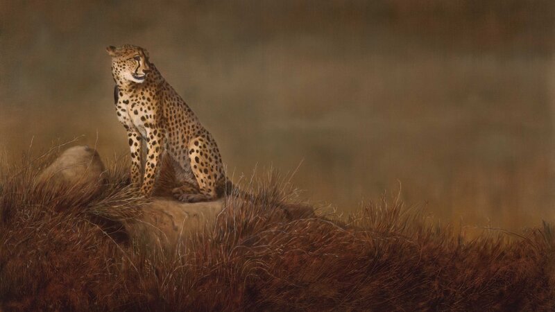 Cheetah on a Rock — Brown