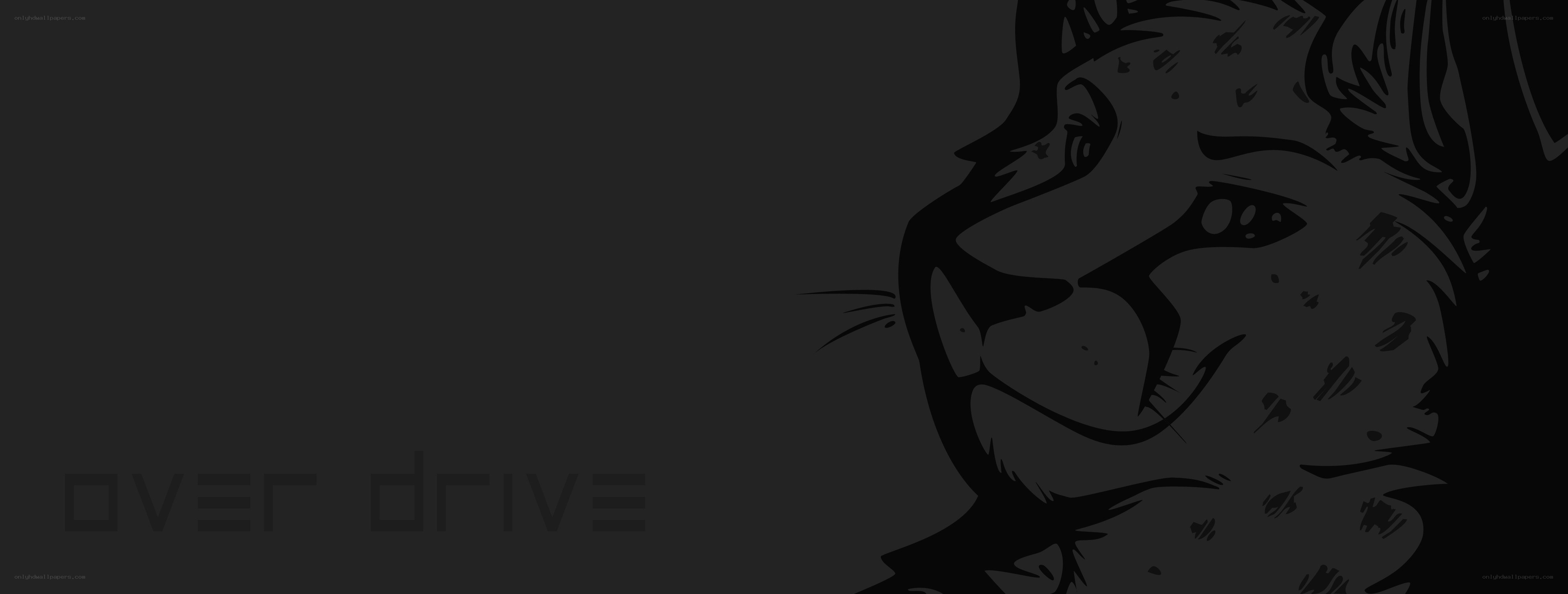 cheetah profile illustration