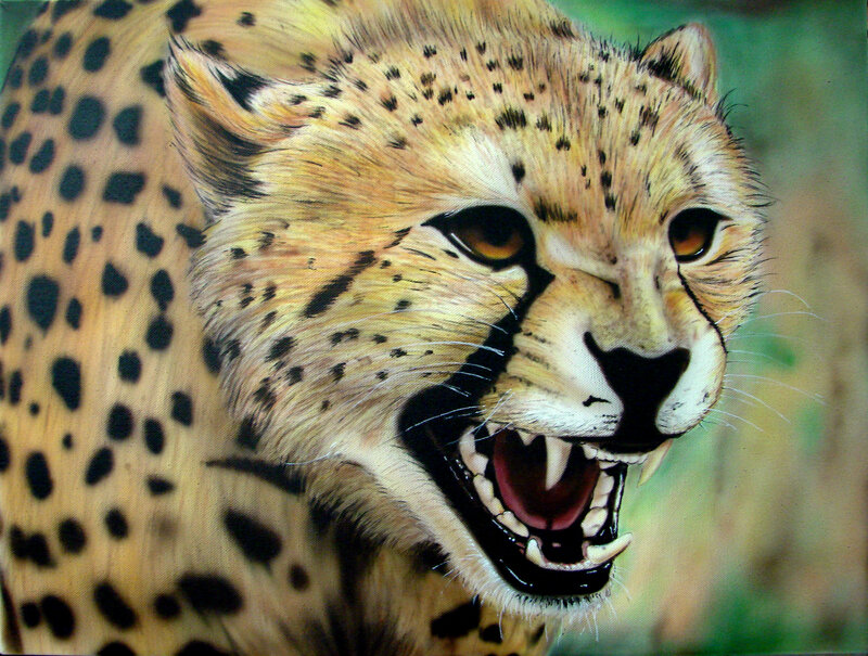 Cheetah Roaring