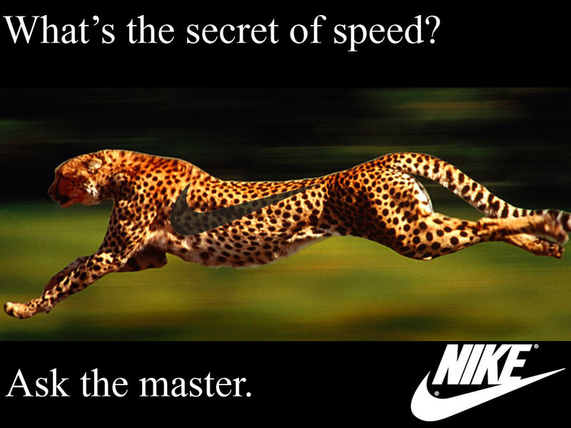 Cheetah Running — Black