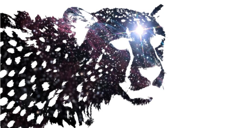 Cheetah Silhouette — Black