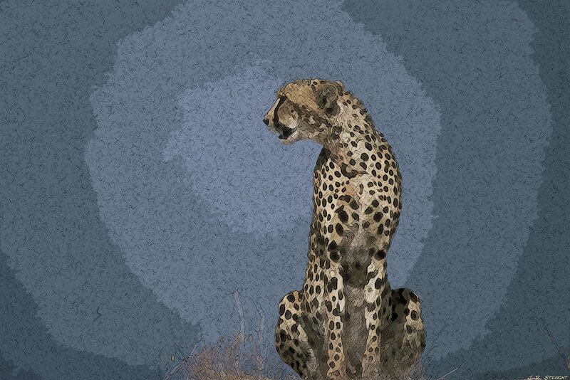 Cheetah Sitting Upright — Blue