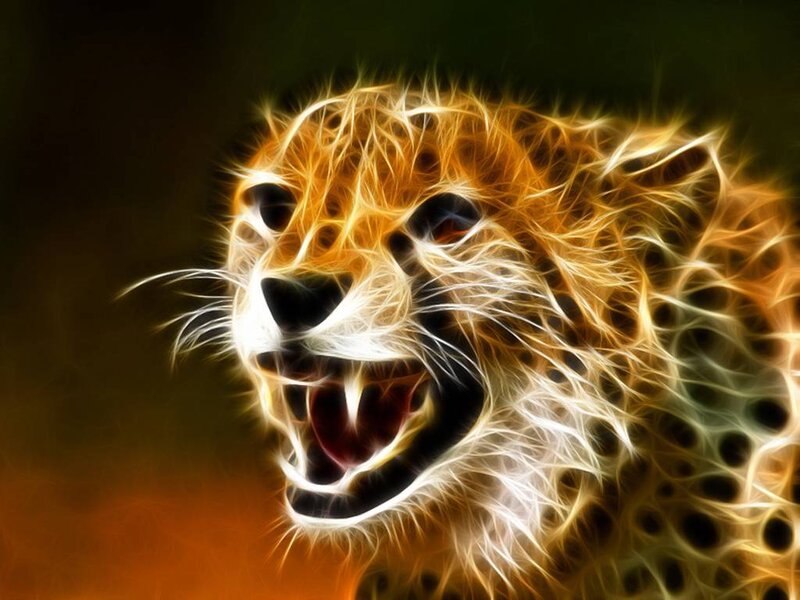 Cheetah with Glowing Fur — Orange, Dramatic