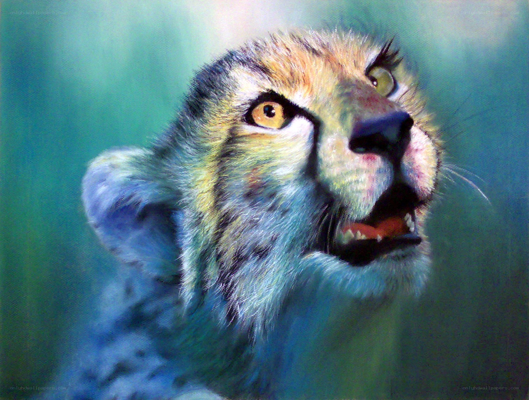 cheetah with open mouth