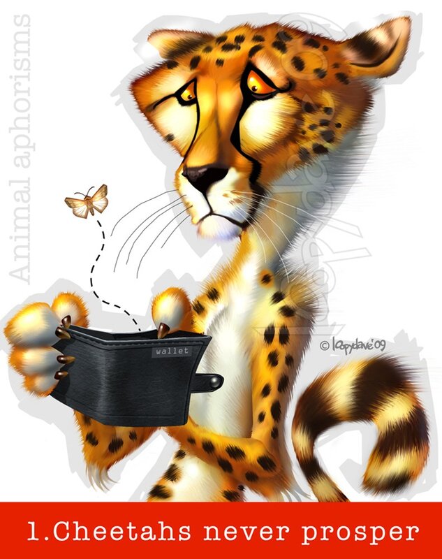 Cheetah with wallet