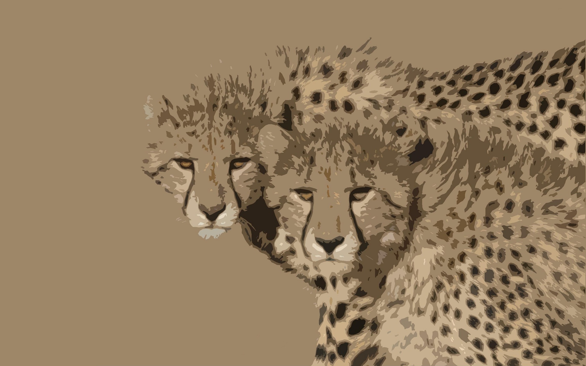 cheetahs in artistic style
