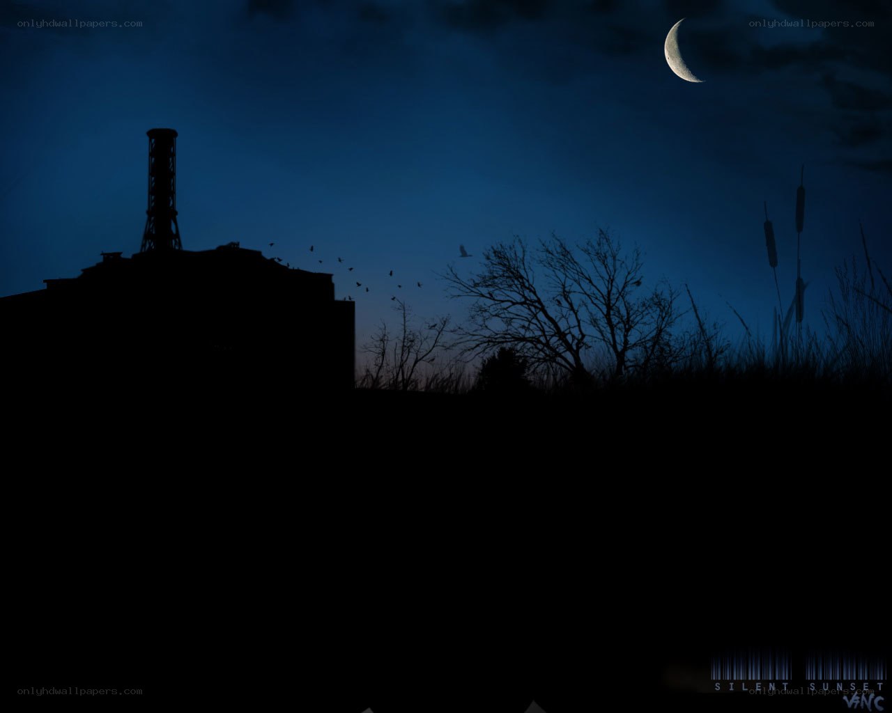 Chernobyl at night