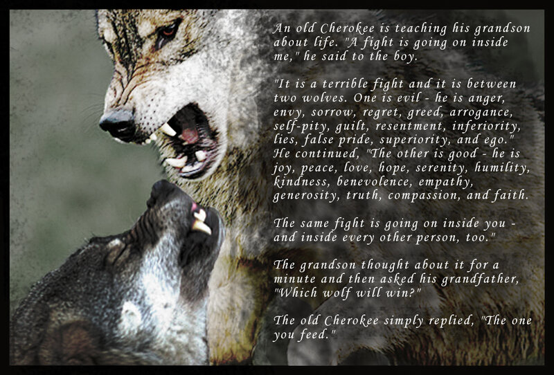 Cherokee wolf story