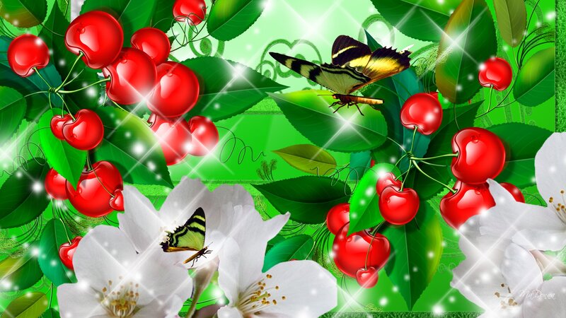 Cherries and Butterflies