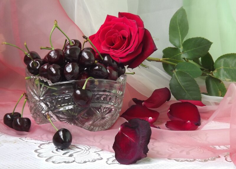 Cherries and Rose in Bowl