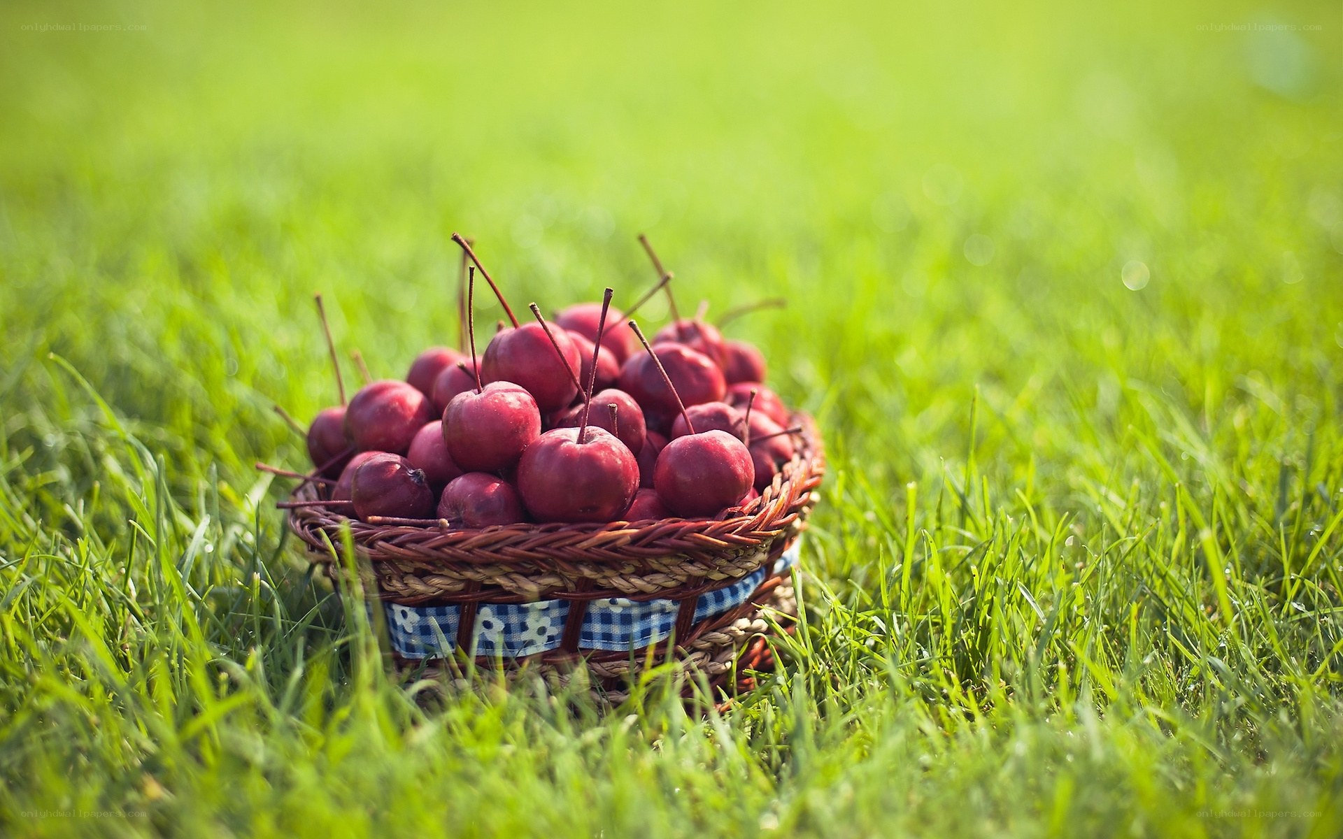 Cherries in a basket on grass