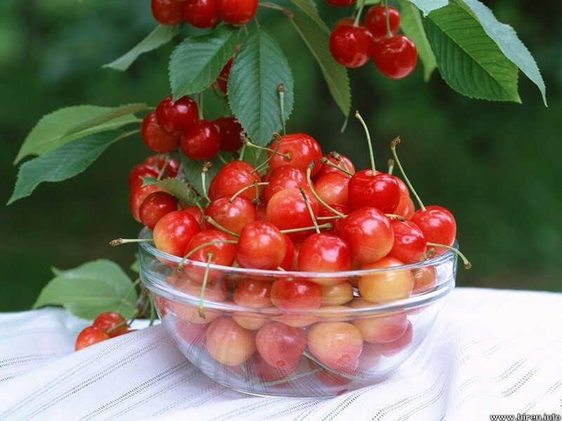 Cherries in a glass bowl