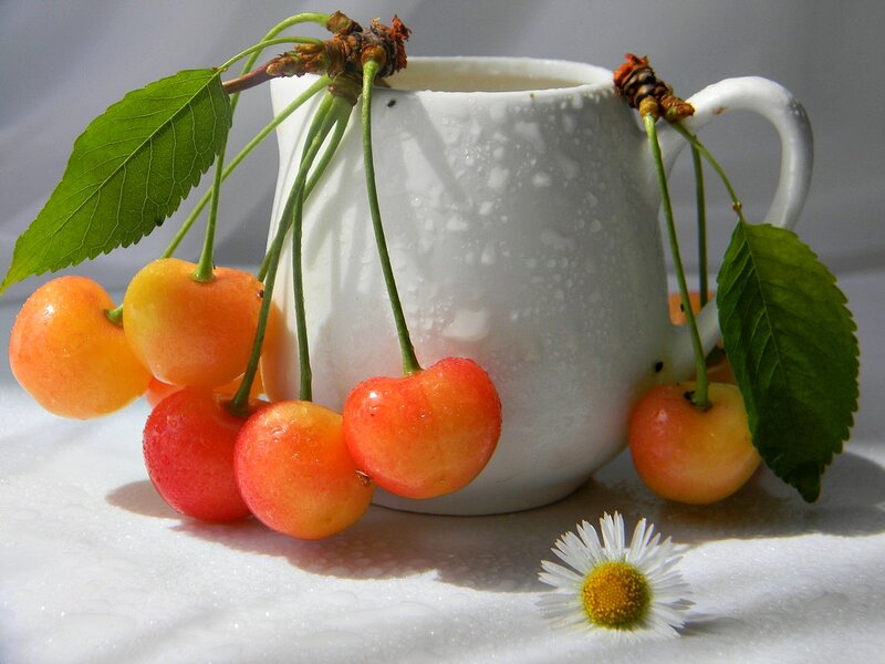 Cherries in a White Pitcher