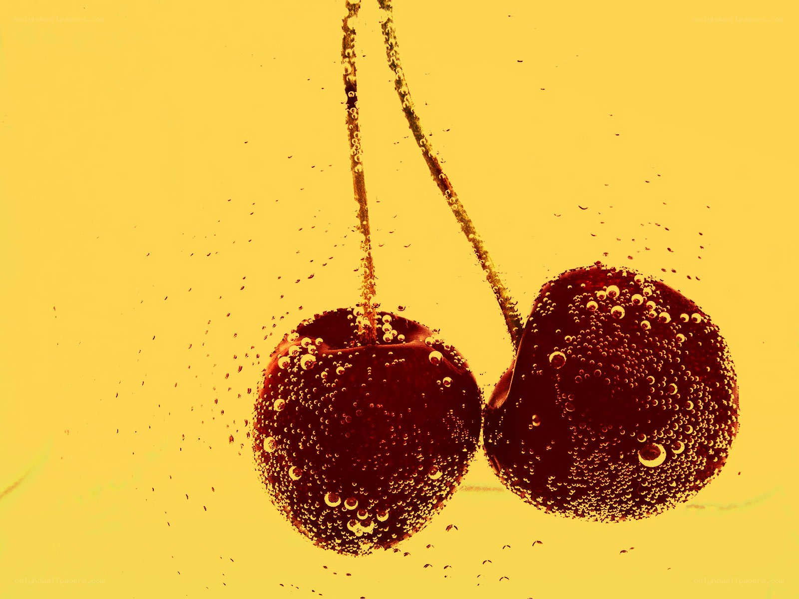 cherries in carbonated liquid