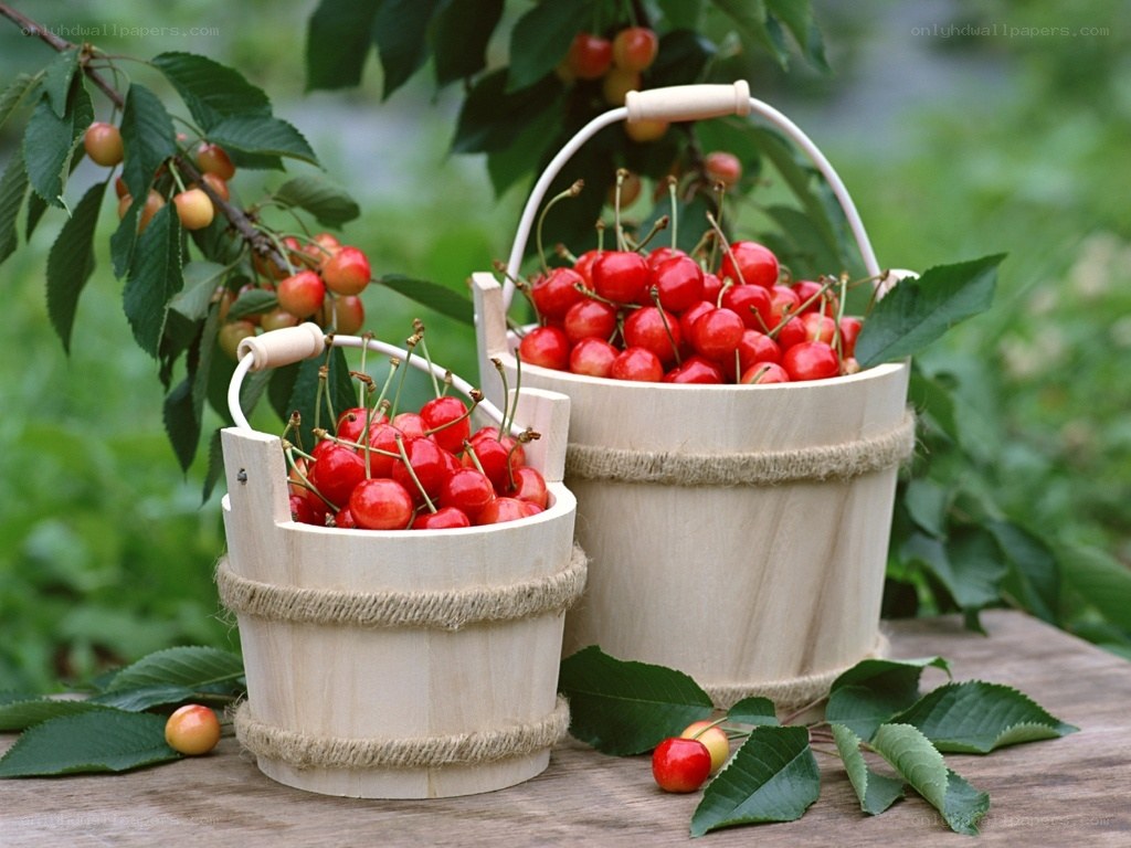 Cherries in wooden buckets
