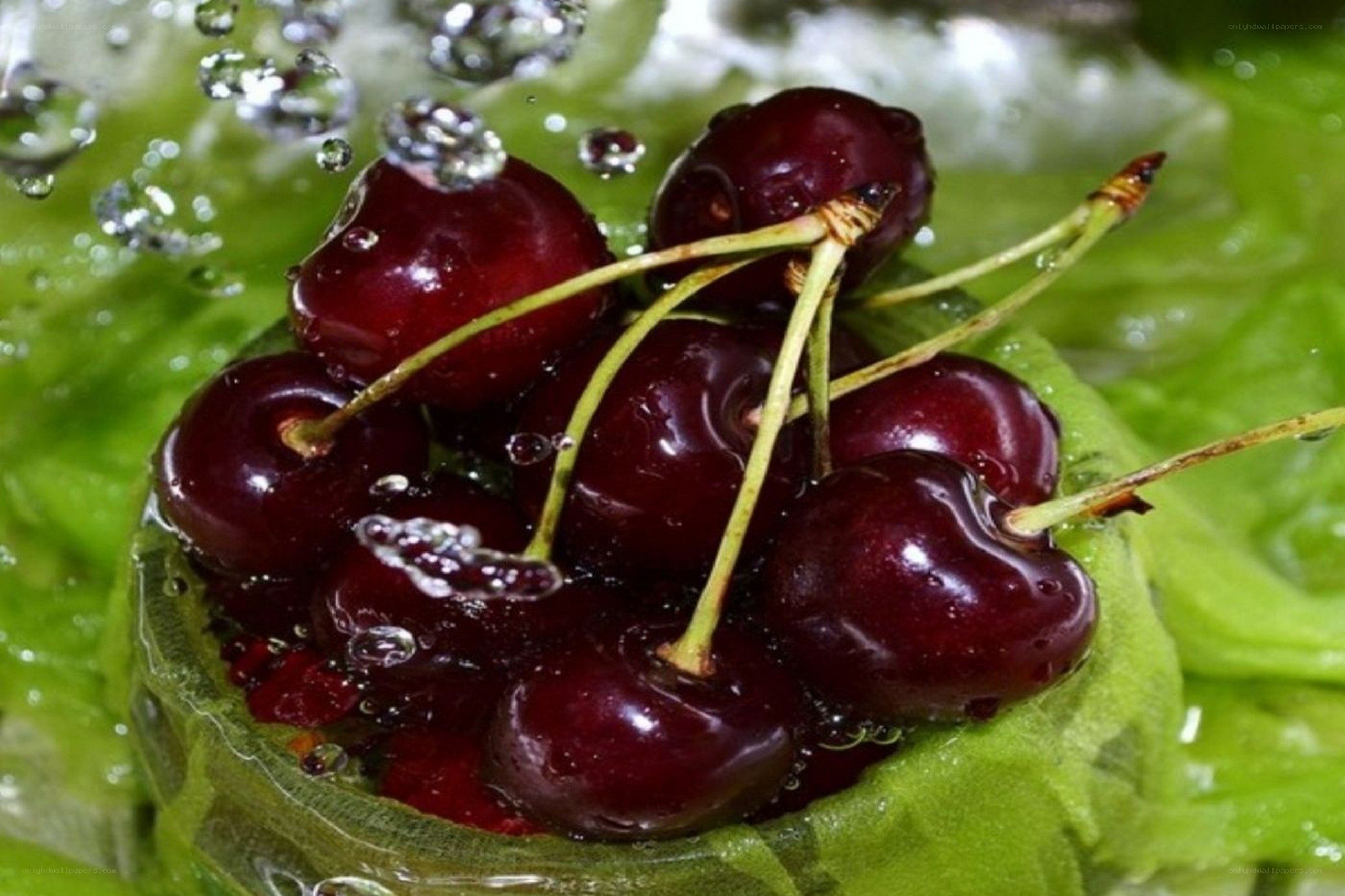 Cherries on a leaf with water