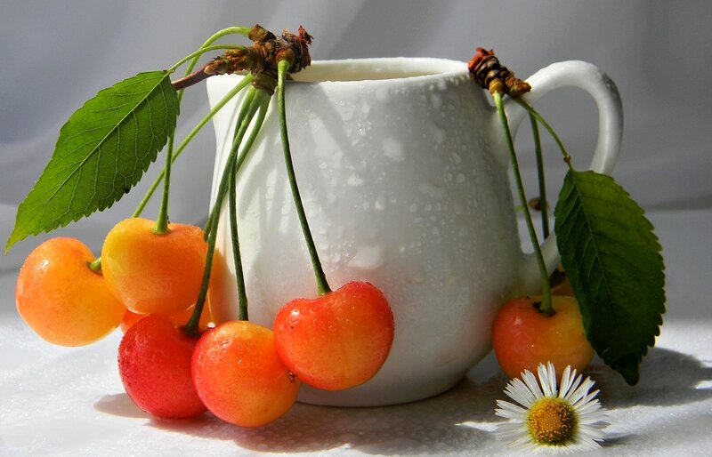Cherries on a Pitcher
