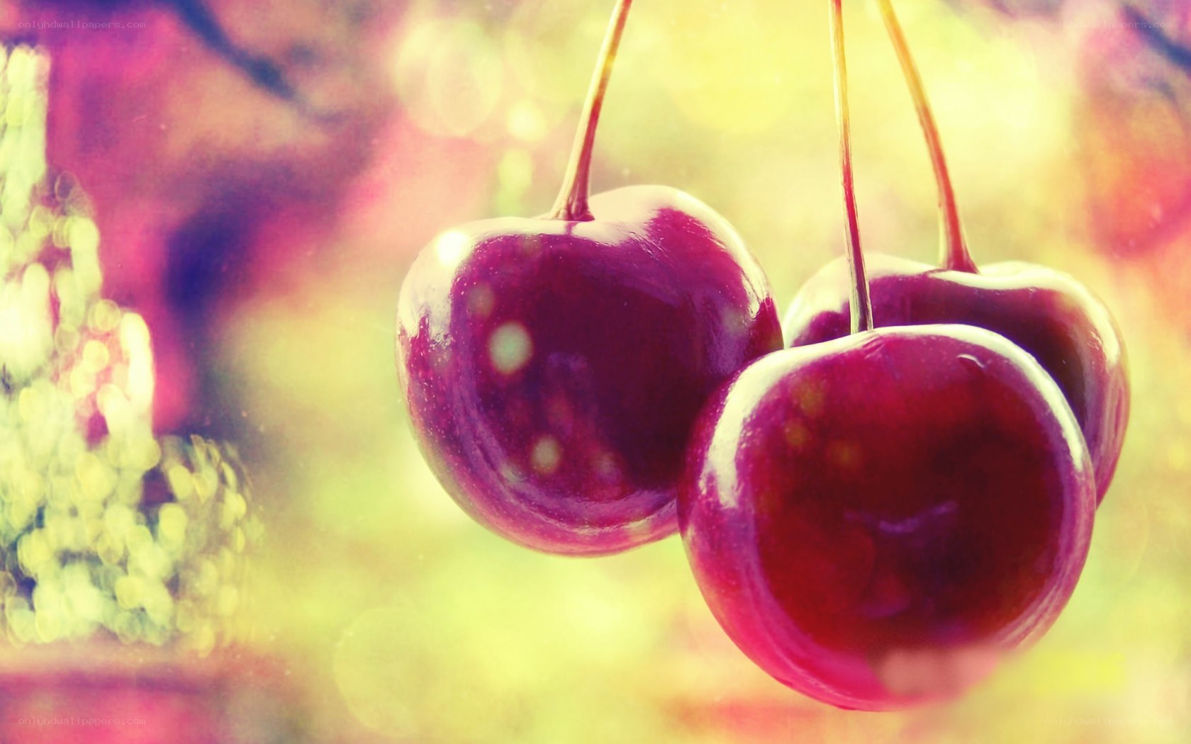 Cherries on a sunny day