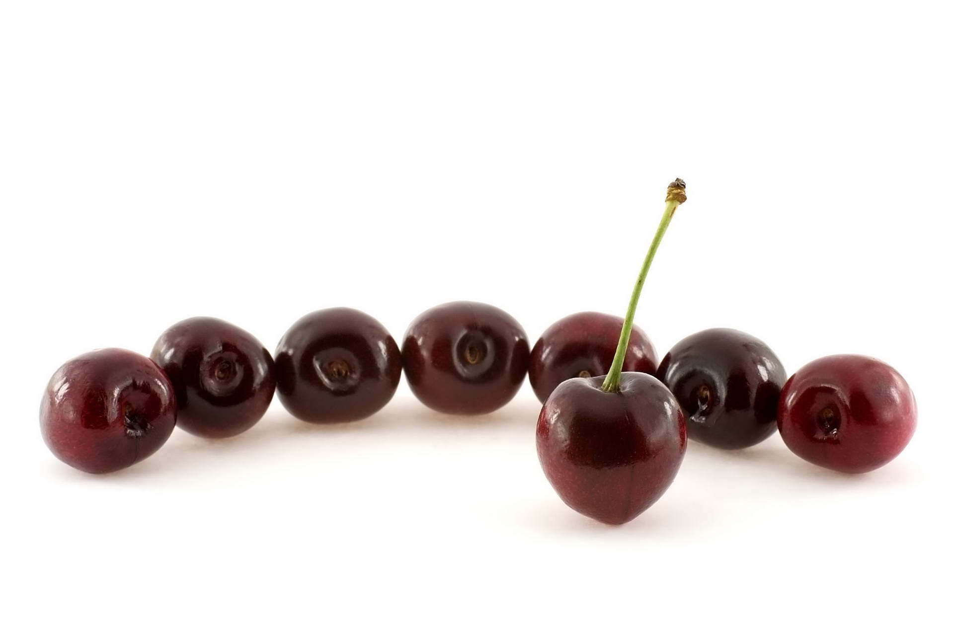 Cherries on a white background